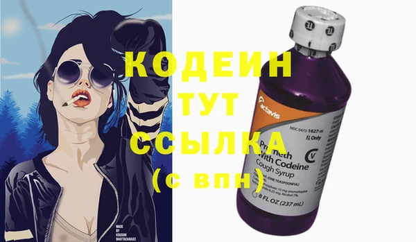 ПСИЛОЦИБИНОВЫЕ ГРИБЫ Арсеньев