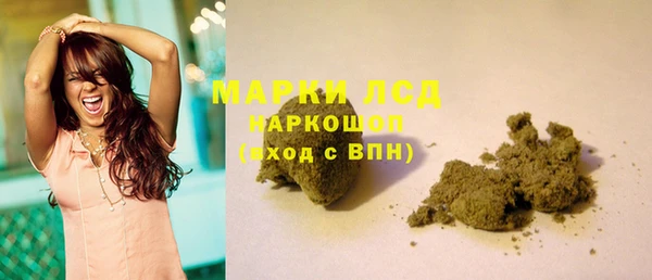 ПСИЛОЦИБИНОВЫЕ ГРИБЫ Арсеньев