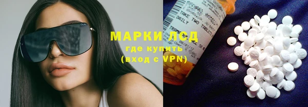 ПСИЛОЦИБИНОВЫЕ ГРИБЫ Арсеньев