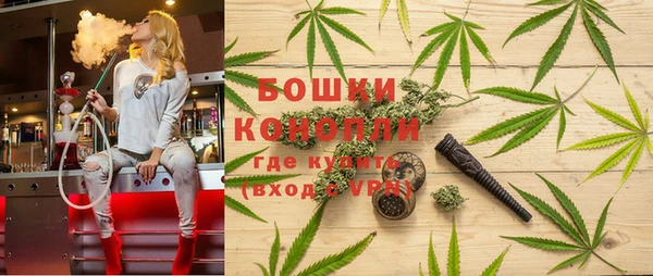 ПСИЛОЦИБИНОВЫЕ ГРИБЫ Арсеньев
