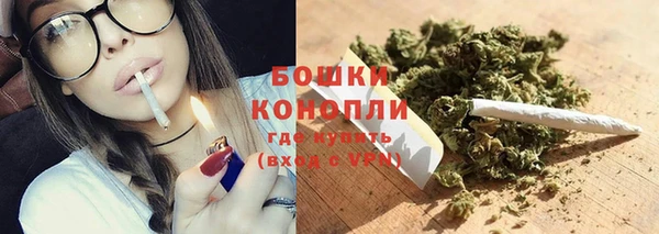 молекула духа Аркадак